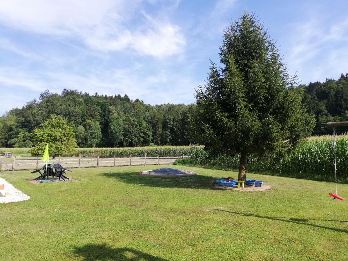 Ferienhaus Am Bach Kirchberg an der Raab Buitenkant foto